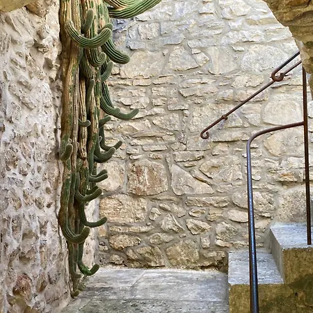 Maison Marmont Vela Luka