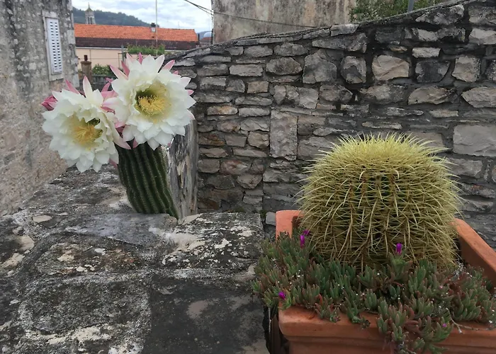 Maison Marmont 别墅 *