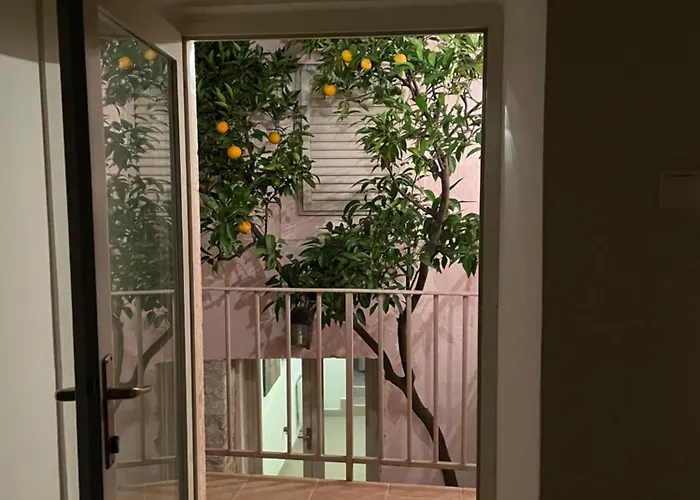 Maison Marmont 尼亚卢卡