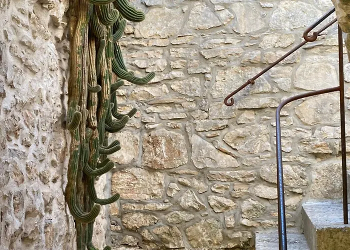 Maison Marmont 尼亚卢卡